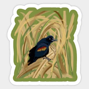 Red winged blackbird Sticker